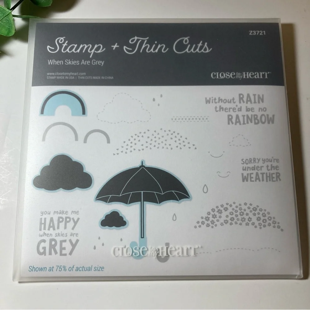 SOLD! CTMH • “When Skies are Grey” Clear Stamp and Die Set - Picture 1 of 8